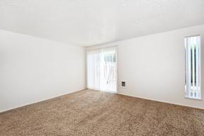 the spacious living room of an apartment with carpet and a window