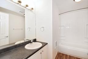 a bathroom with a sink and a shower and a mirror