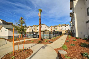 Senator Conness Apartments Landscaping