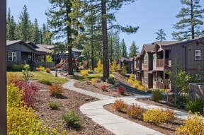 a neighborhood of homes with trees and pathways