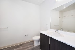 a bathroom with a sink and a toilet and a mirror