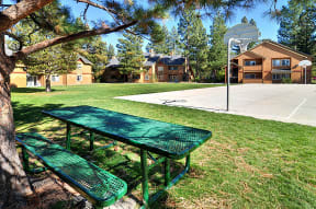 a basketball court and picnic table in the community