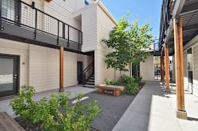 A patio area with a bench and a tree.