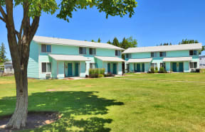 a group of houses with a green lawn and a tree