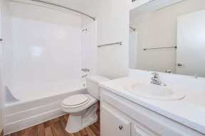 a bathroom with a sink and a toilet and a bath tub