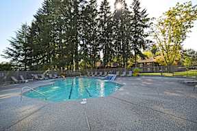 A sunny day at the outdoor swimming pool surrounded by trees.