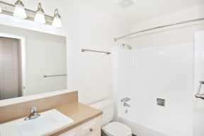 a bathroom with a sink and a toilet and a shower