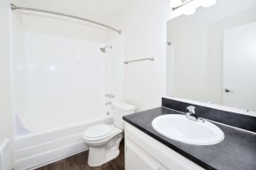 a bathroom with a sink and a toilet and a shower