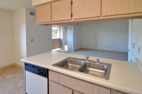 a kitchen with a sink and a dishwasher