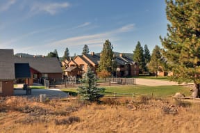 a group of houses in a subdivision with a basketball court