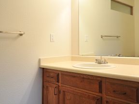 a bathroom with a sink and a mirror