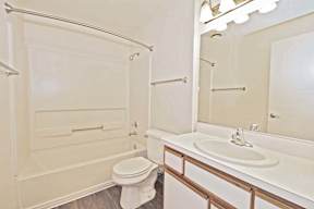 a bathroom with a sink and a toilet and a bath tub