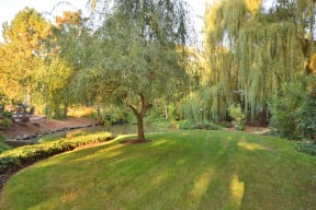 Gardenbrook Landscaping