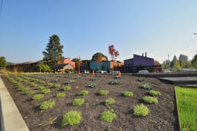 Fountain Park landscaping