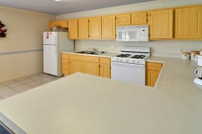 Meadow Vista kitchen