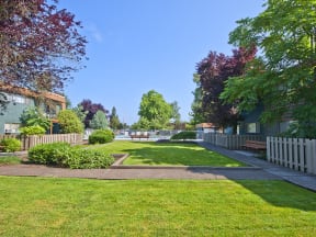 Menlo Manor landscaping
