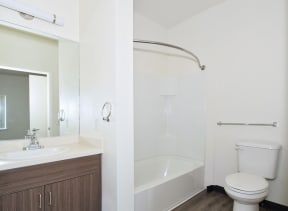 a bathroom with a shower toilet and sink and a mirror