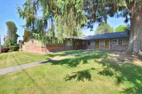 a house with a tree in front of it
