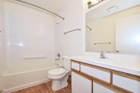a bathroom with a sink and a toilet and a shower