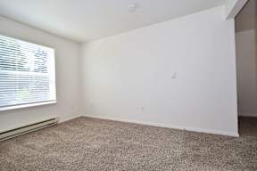 an empty room with carpet and a window