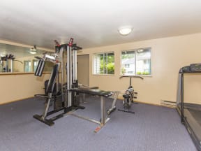 Willow Creek: gym with a treadmill and exercise equipment