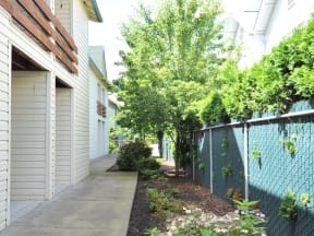Emerald Pointe walkway