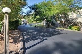 a street in a neighborhood with trees and a street light
