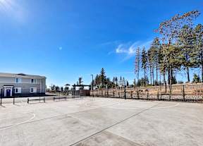 the spacious basketball court at the enclave at university heights apartments fl