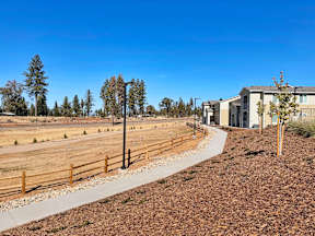 a view of a yard with a wooden fence and houses in the background