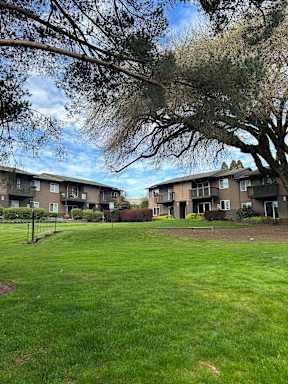 A grassy area in front of apartment buildings.