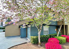 a blue house with a tree and pink flowers in front of it