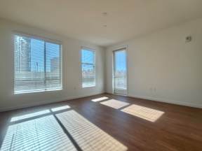 A room with wooden floors and two windows with blinds.