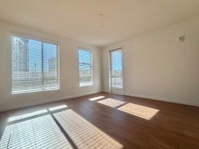 A sunny room with wooden floors and two windows.