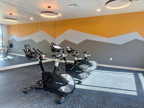 A gym with exercise bikes and a mountain design on the wall.