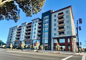 A modern multi-story building named Blue Oak Solitaire is situated on a street corner.