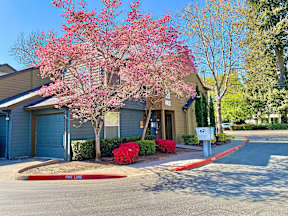 a house with a pink flowering tree in front of it
