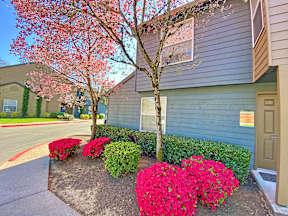 a front yard with pink flowers and a house