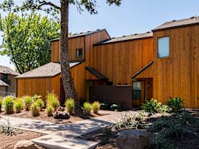 a wooden house with a walkway and a tree