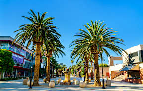 Two palm trees in the foreground with a building in the background.