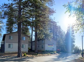 Springhill Gardens exterior in the sun