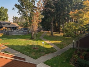 a walkway through a park with trees and buildings in the background