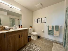 A bathroom with a toilet, sink, and a rug on the floor.