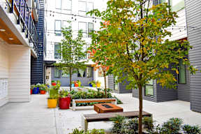 Sunnyside Courtyard