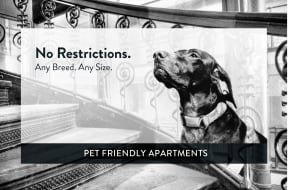Priscilla Standish Apartments pet friendly