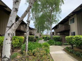 Prodesse Property Group Sylvan Square Apartments750 Sylvan AvenueMountain View, CA 94041
