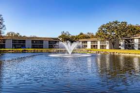 Pond with Fountain