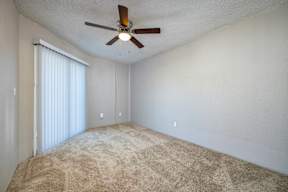 Carpet and Ceiling Fan
