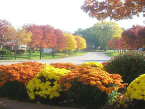 Beautiful Surroundings at Ridgeview Highlands Apartments & Townhomes,54911