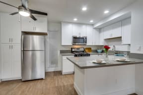 Stainless appliances and wood flooring at SpringTree Apartments 