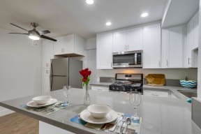 Granite kitchen countertops at SpringTree Apartments 